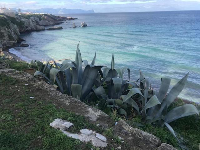 Bed and Breakfast By The Sea Terrasini Exterior foto